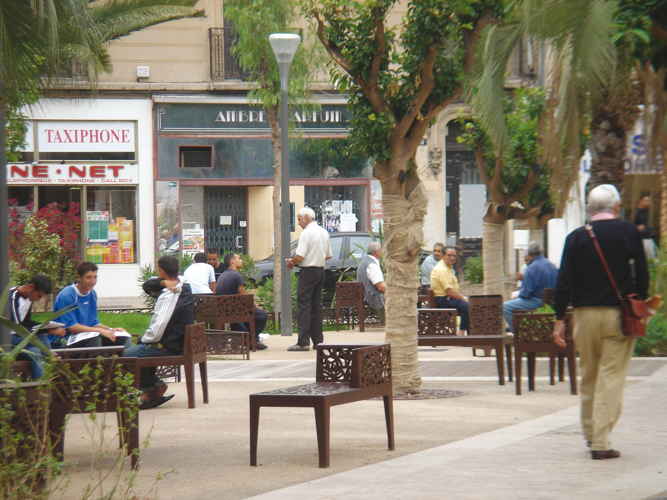 Stella Bench