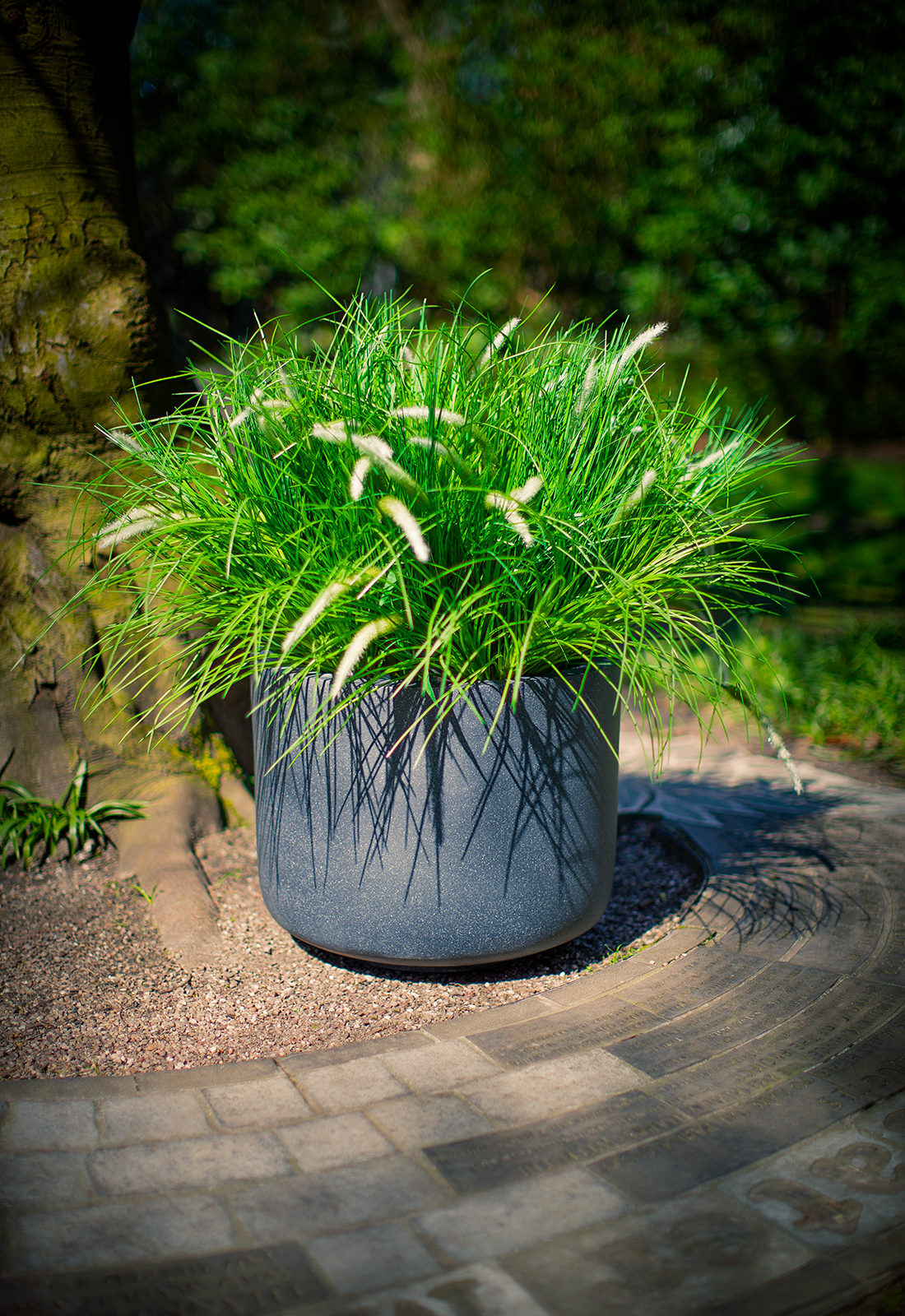 Derwent Planter