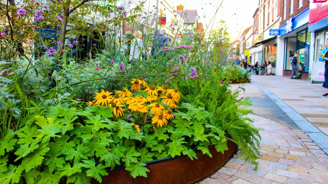 Altrincham Town Centre, Trafford