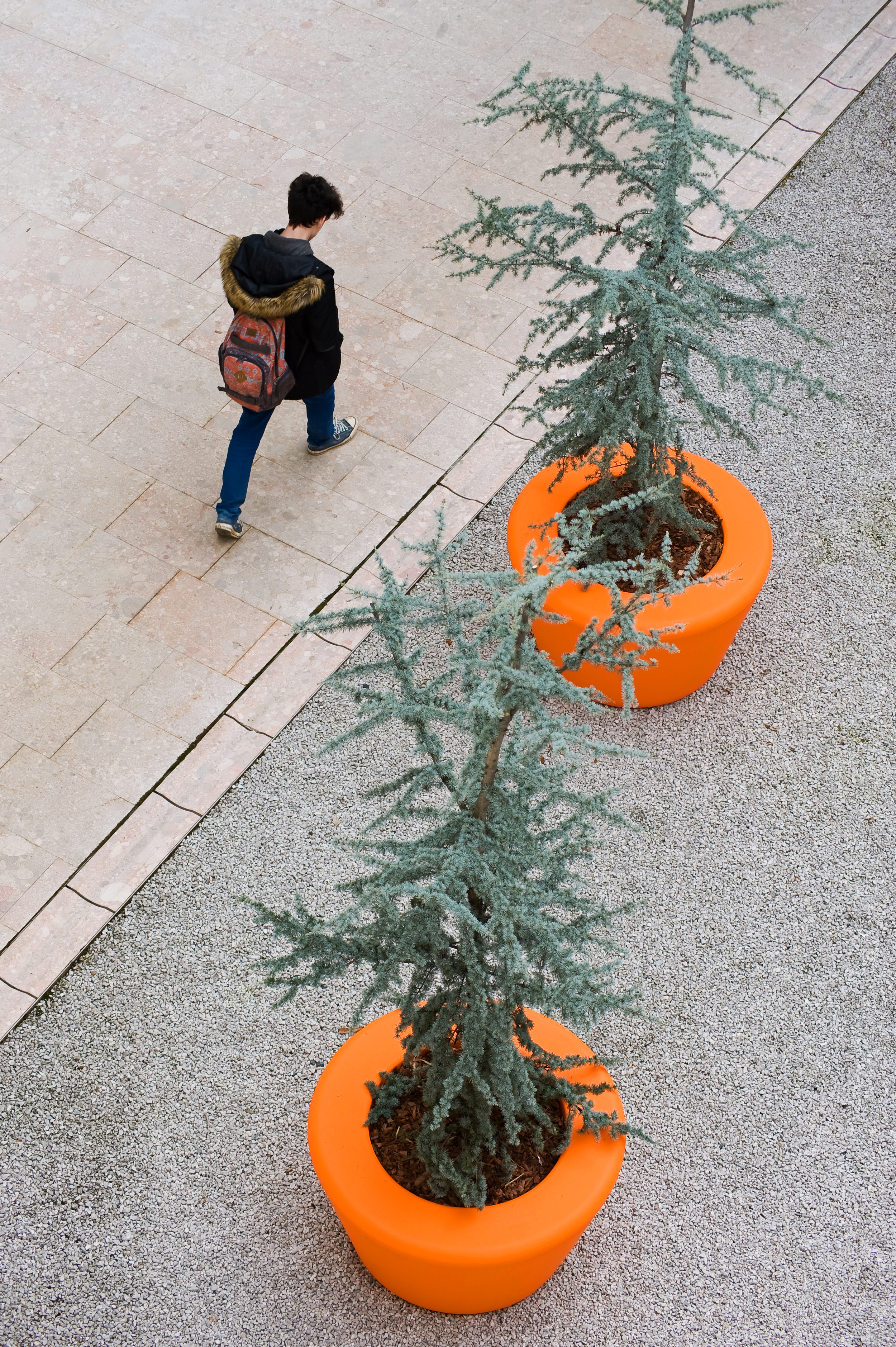Loop Cone Planter