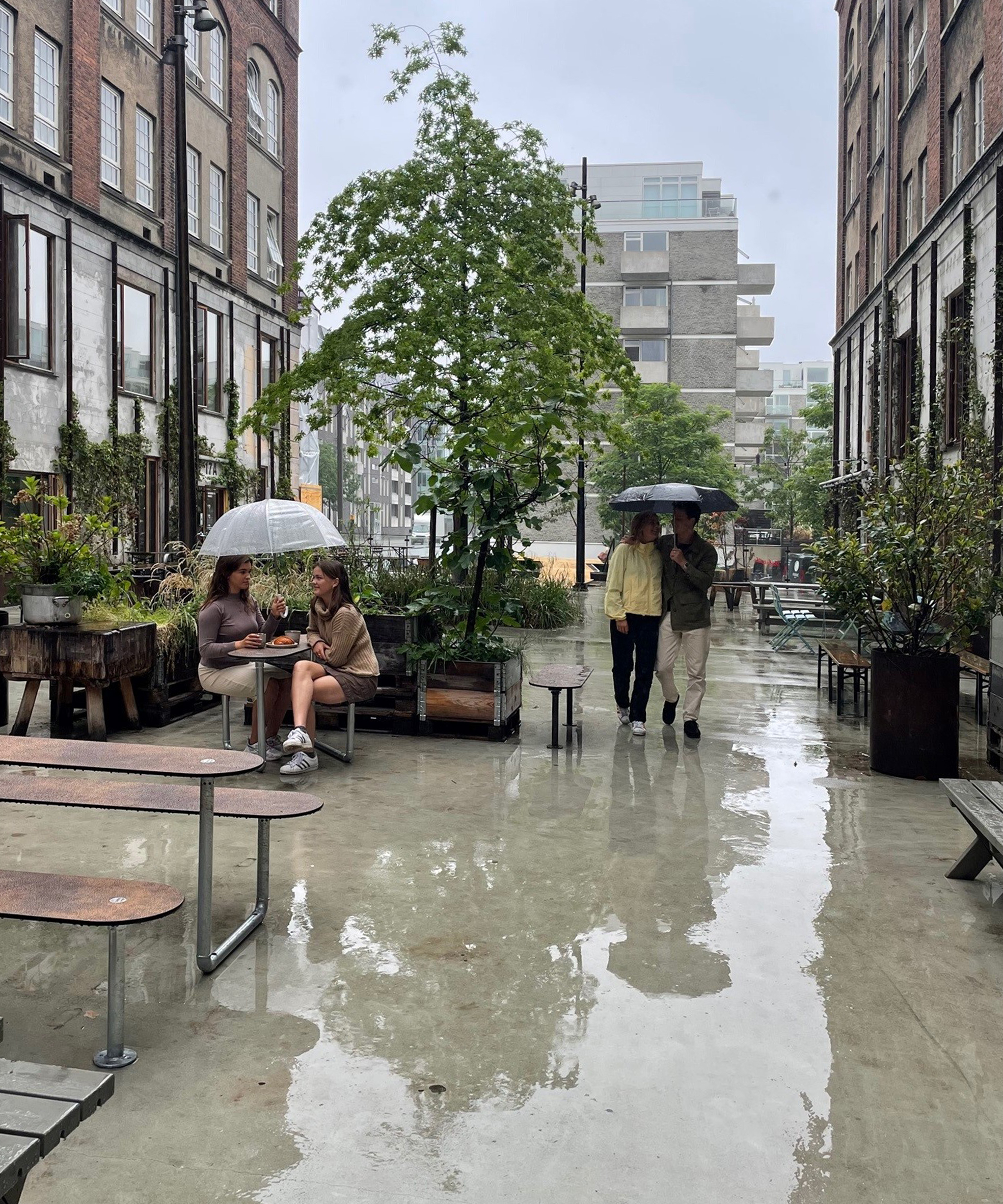 Plateau Picnic Street