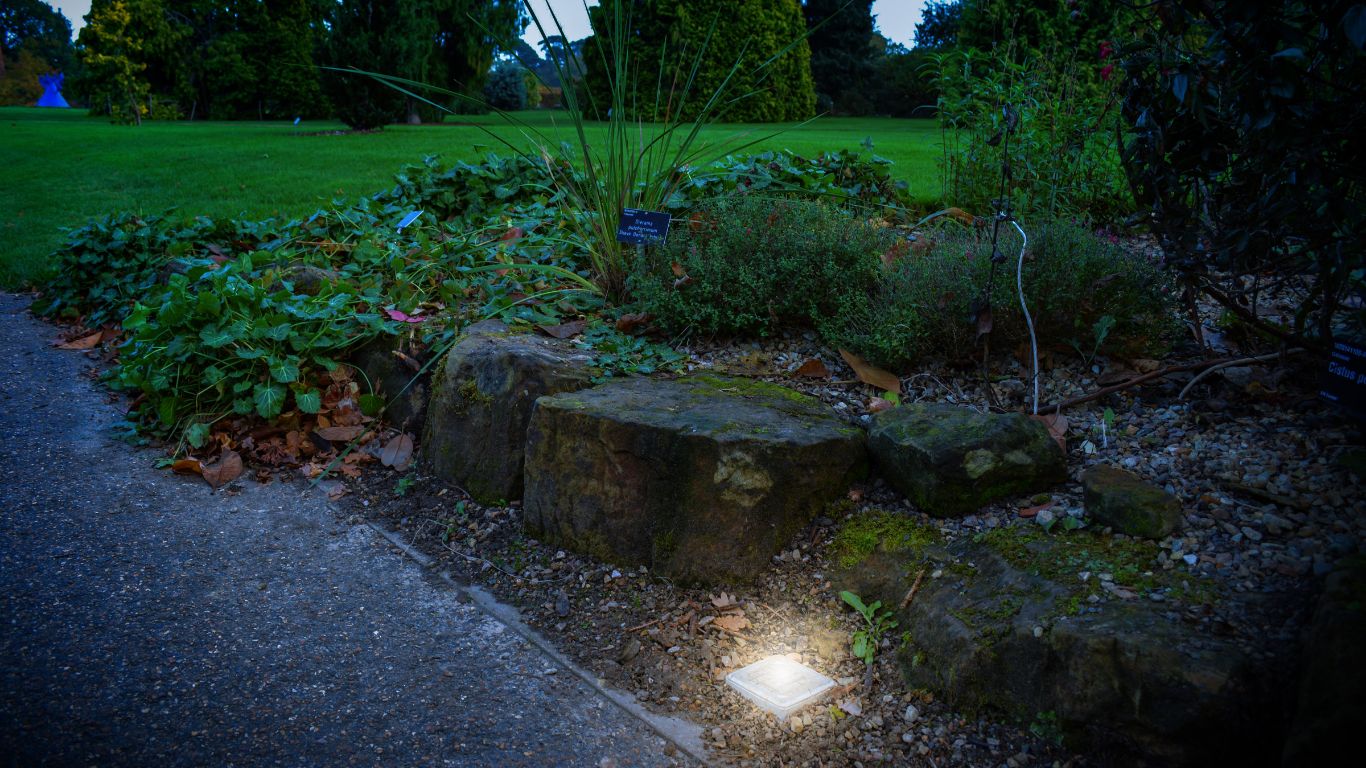 RHS Gardens, Wisley