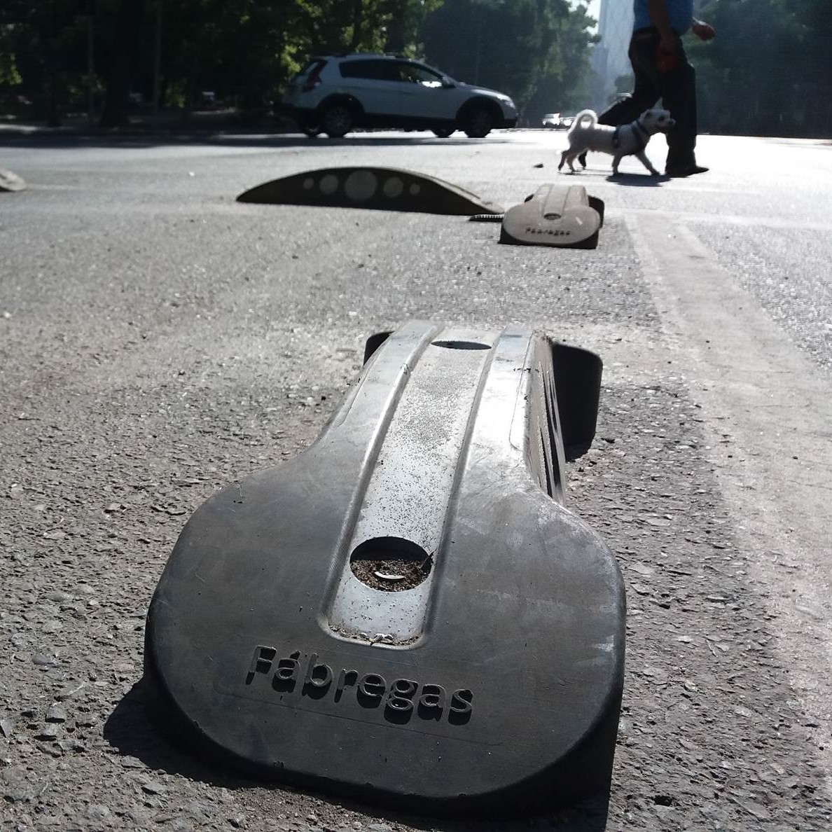 Bike Lane Separator